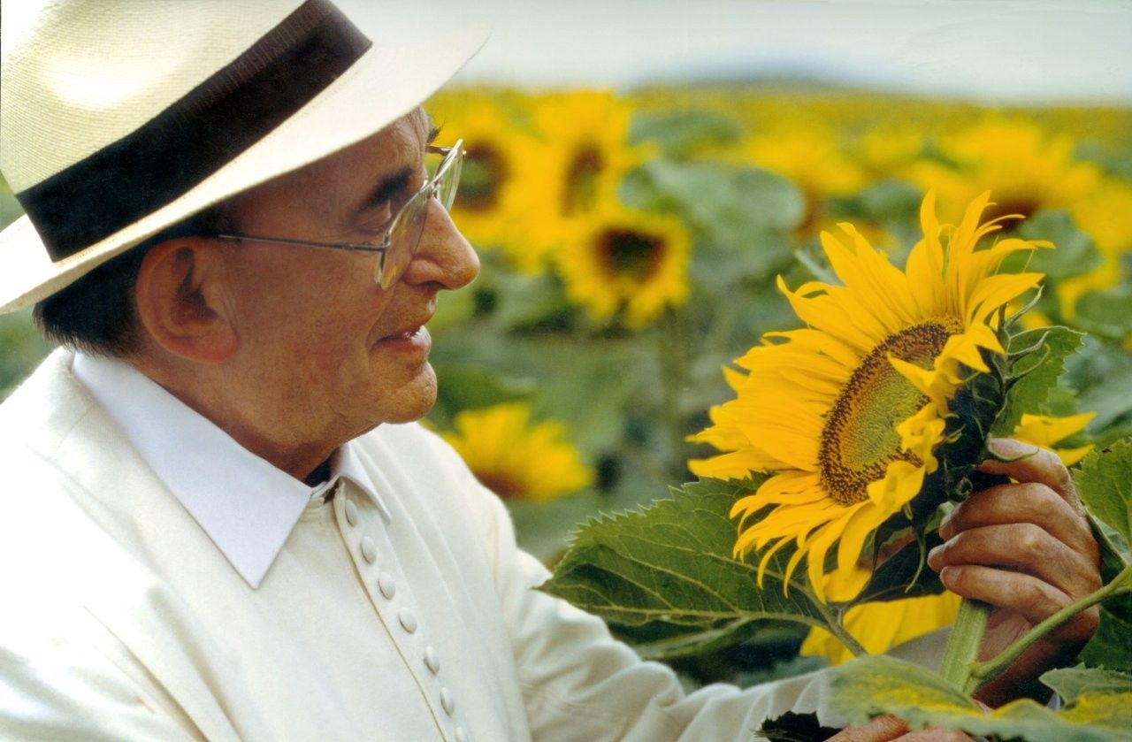 Kräuterpfarrer Hermann Josef Weidinger in einem Sonnenblumenfeld